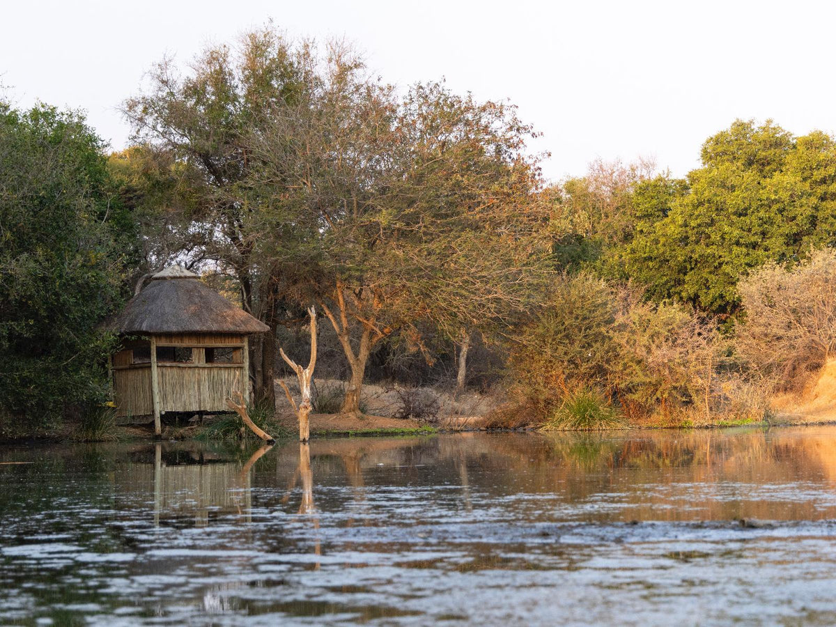 🦁 Luxury Chalet with Private Plunge Pool | Umzolozolo Safari Lodge