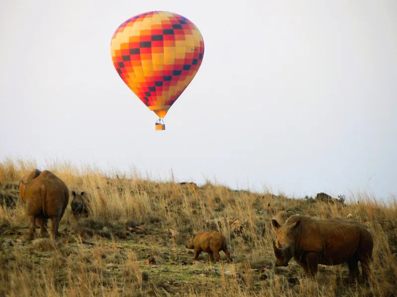 💕 Exclusive Hot Air Balloon Flight for Two at Airventures