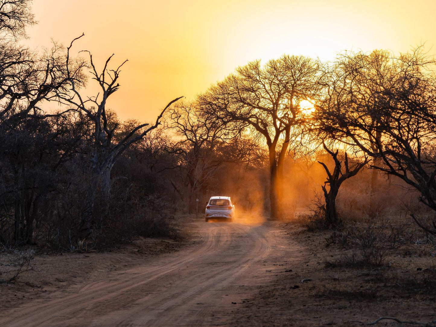 🌿 Luxury Chalet – Umzolozolo Private Safari Lodge 🌿