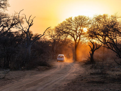 🌿 Luxury Chalet – Umzolozolo Private Safari Lodge 🌿