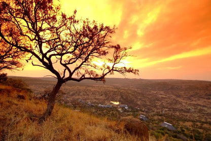 🦁 Lions Valley Lodge | Luxury Safari Lodge, Nambiti Private Game Reserve, KwaZulu-Natal