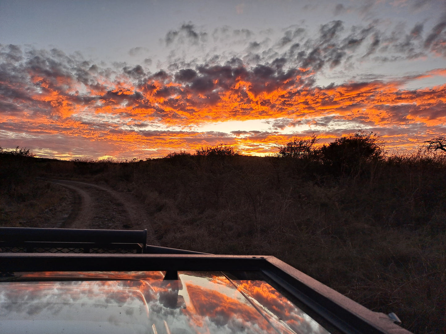 🌿 Luxury Chalet – Umzolozolo Private Safari Lodge 🌿