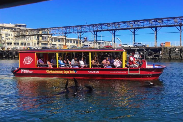 ⚓ V&A Harbour & Seal Cruise | Cape Town