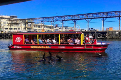 ⚓ V&A Harbour & Seal Cruise | Cape Town