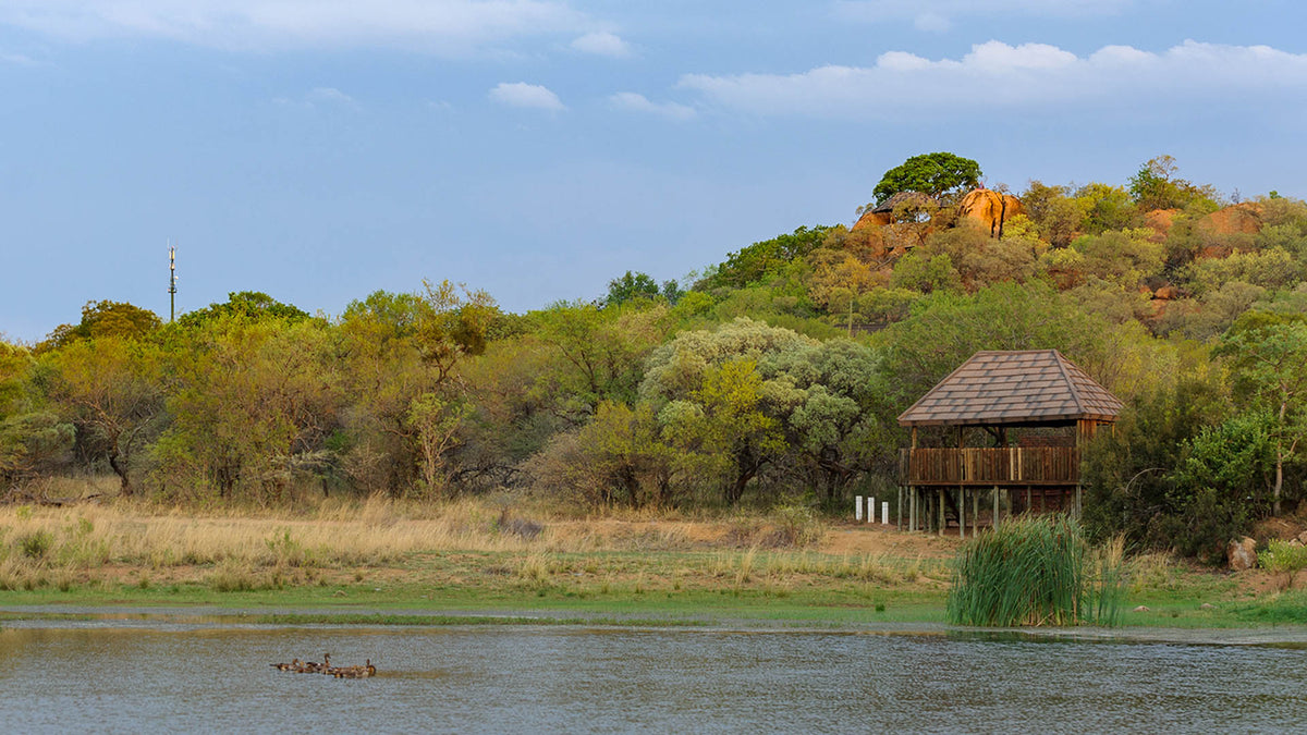 🦒 Family Room | Dikhololo, North West
