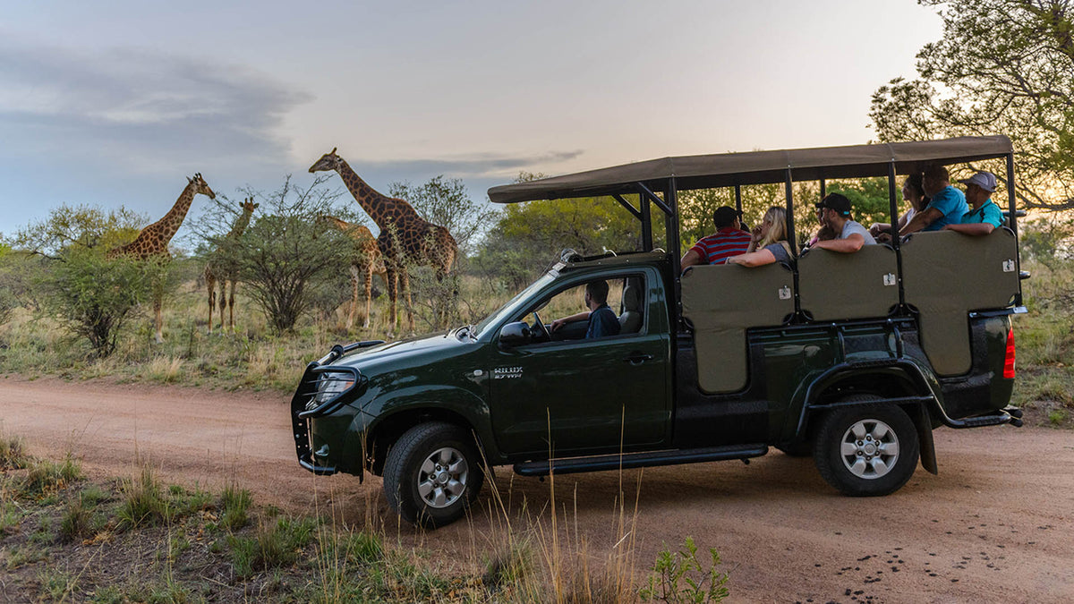 🦒 Double Room | Dikhololo, North West