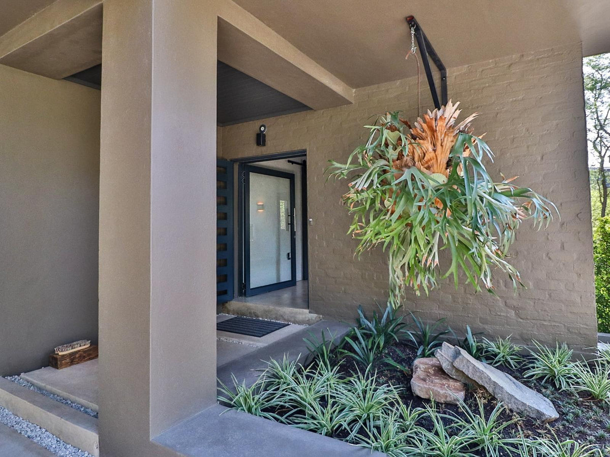 🌿 Akasha Villa | Exclusive 2 Bedroom Self-Catering Villa, Marloth Park, Mpumalanga