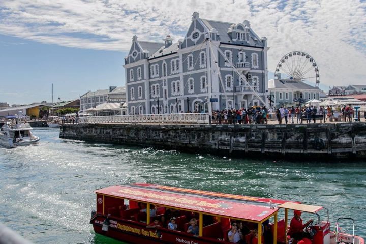 ⚓ V&A Harbour & Seal Cruise | Cape Town