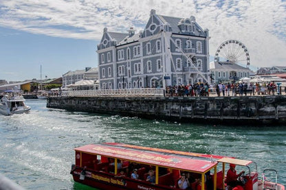 ⚓ V&A Harbour & Seal Cruise | Cape Town