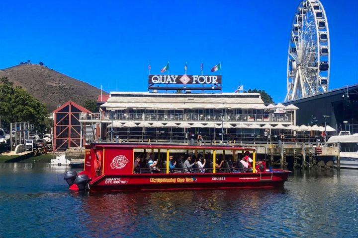⚓ V&A Harbour & Seal Cruise | Cape Town