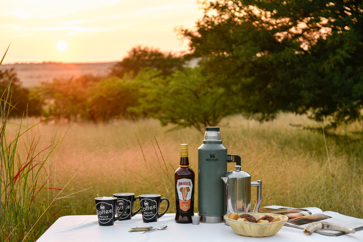 🏕️ Luxury Safari Tent – Springbok Lodge 🦁