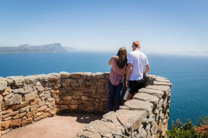 🌍 Cape Point & Penguin Xplorer Tour
