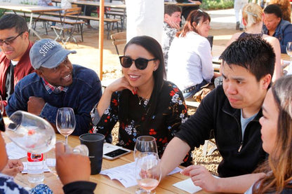 🍷 Paarl, Franschhoek & Stellenbosch Three Region Xplorer Wine Tour | Cape Town
