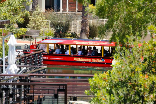 🚤 Canal Cruise | Cape Town
