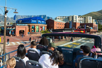 🚌 Classic Hop-On Hop-Off Cape Town Tour