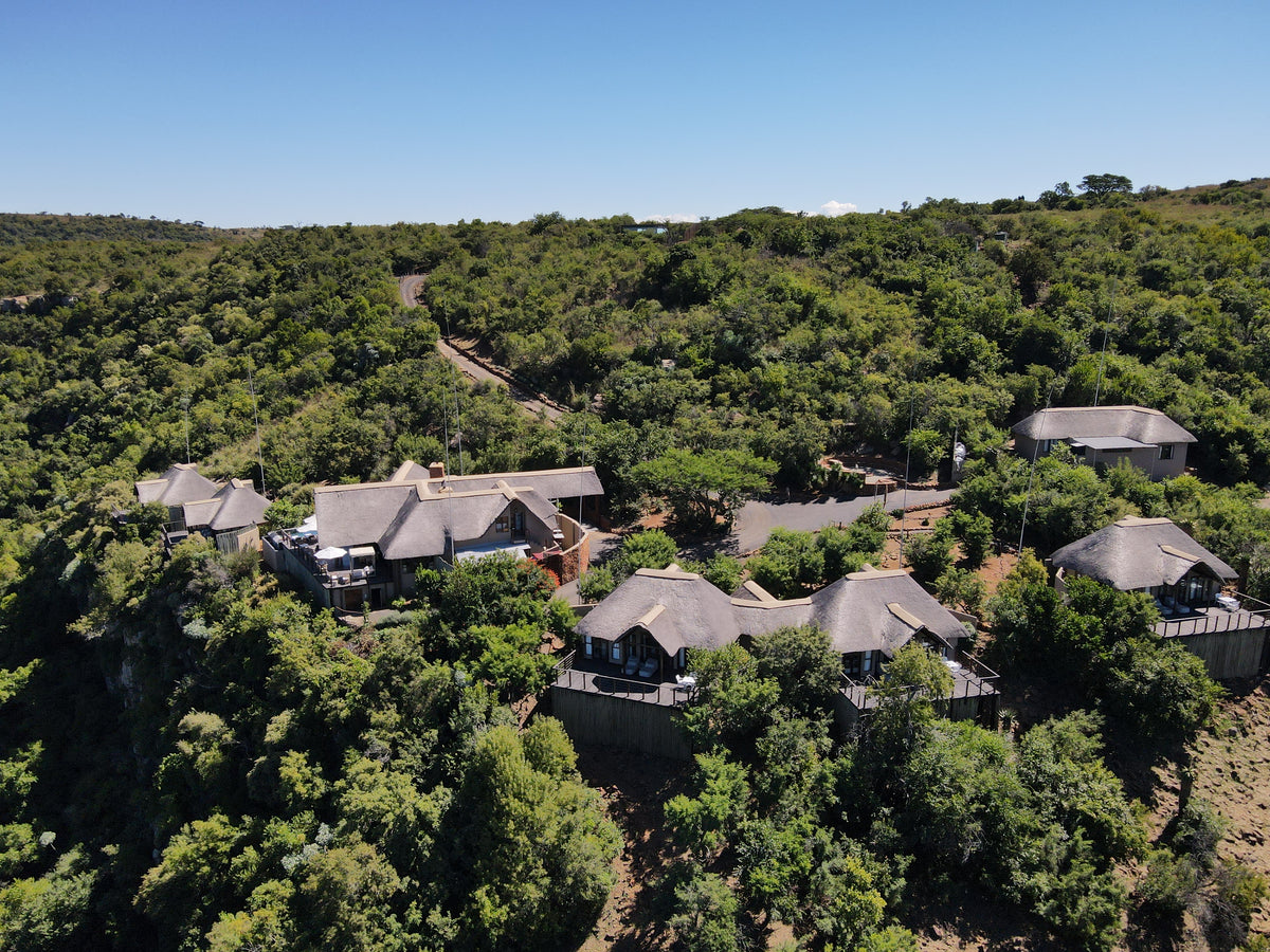 🦁 Esiweni Safari Lodge | Luxury Safari Lodge, Nambiti Private Game Reserve, KwaZulu-Natal
