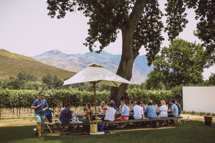 🍷 Franschhoek Wine Tram Xplorer Tour | Cape Winelands