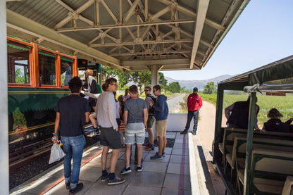 🍷 Franschhoek Wine Tram Xplorer Tour | Cape Winelands