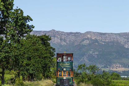 🍷 Franschhoek Wine Tram Xplorer Tour | Cape Winelands