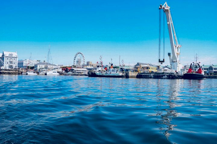 ⚓ V&A Harbour & Seal Cruise | Cape Town