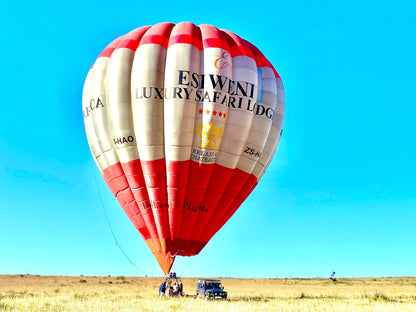 🦁 Esiweni Safari Lodge | Luxury Safari Lodge, Nambiti Private Game Reserve, KwaZulu-Natal
