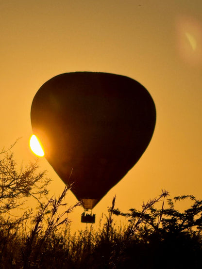 🦁 Esiweni Safari Lodge | Luxury Safari Lodge, Nambiti Private Game Reserve, KwaZulu-Natal