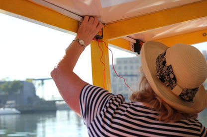 ⚓ V&A Harbour & Seal Cruise | Cape Town