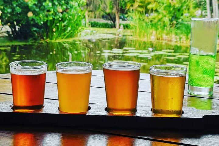 🍷 Franschhoek Wine Tram Xplorer Tour | Cape Winelands