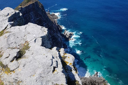 🌍 Cape Point & Penguin Xplorer Tour