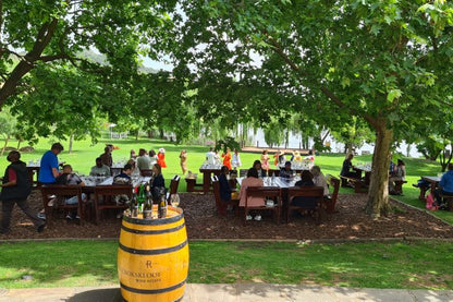🍷 Paarl, Franschhoek & Stellenbosch Three Region Xplorer Wine Tour | Cape Town