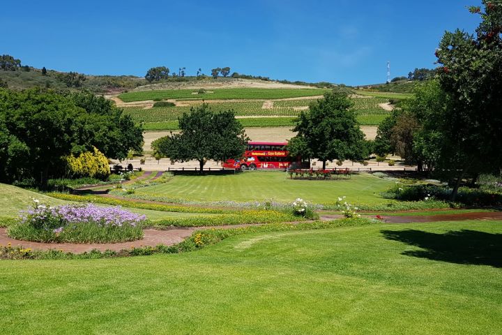 🍷 Paarl, Franschhoek & Stellenbosch Three Region Xplorer Wine Tour | Cape Town