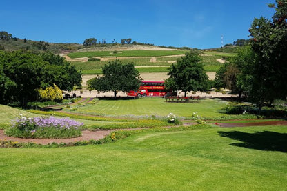 🍷 Paarl, Franschhoek & Stellenbosch Three Region Xplorer Wine Tour | Cape Town