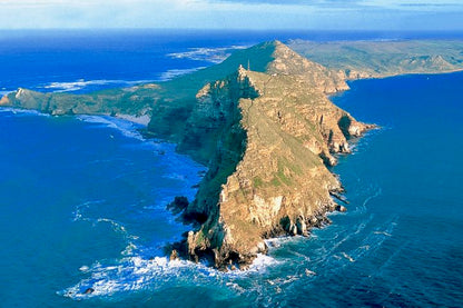 🌍 Cape Point & Penguin Xplorer Tour