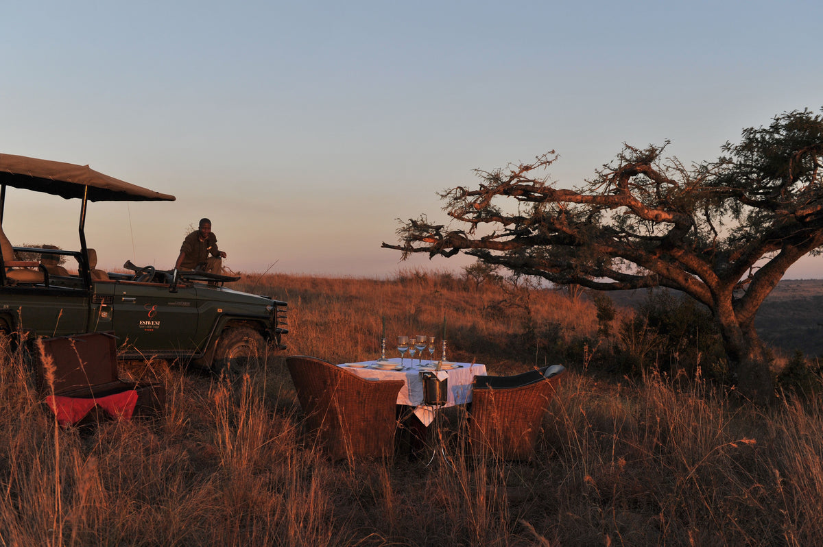 🦁 Esiweni Safari Lodge | Luxury Safari Lodge, Nambiti Private Game Reserve, KwaZulu-Natal