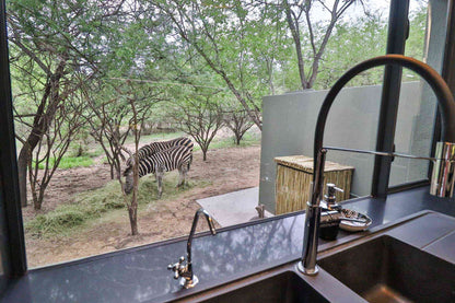 🦒 Chelsea Villa | Stylish 3 Bedroom Self-Catering Home, Marloth Park, Mpumalanga