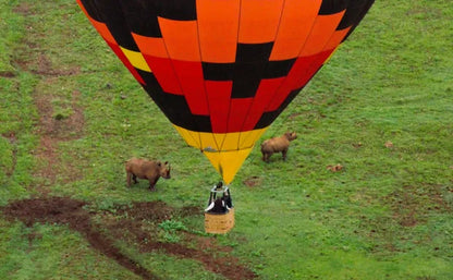 💕 Exclusive Hot Air Balloon Flight for Two at Airventures