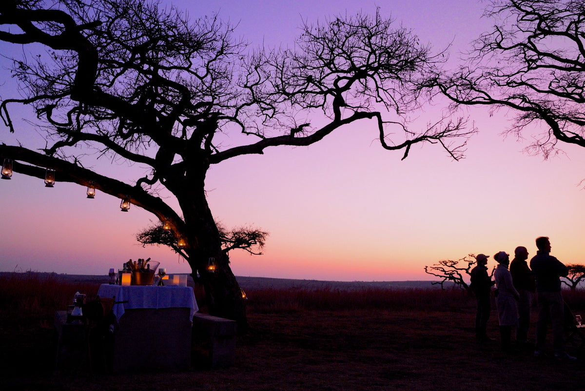 🦁 Esiweni Safari Lodge | Luxury Safari Lodge, Nambiti Private Game Reserve, KwaZulu-Natal