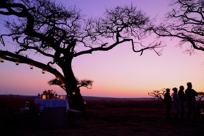 🦁 Esiweni Safari Lodge | Luxury Safari Lodge, Nambiti Private Game Reserve, KwaZulu-Natal
