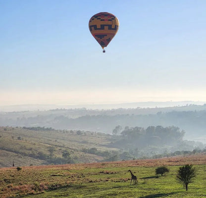 🦁 Safari Hot Air Balloon Flight – Cradle of Humankind at Airventures