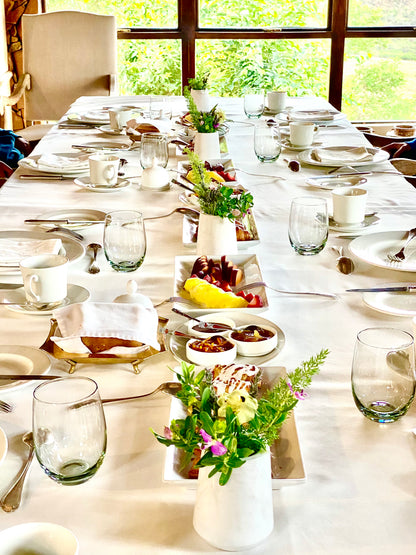 🦁 Esiweni Safari Lodge | Luxury Safari Lodge, Nambiti Private Game Reserve, KwaZulu-Natal