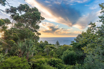 🌿 VILLA RIVER 42 | CAMPS BAY