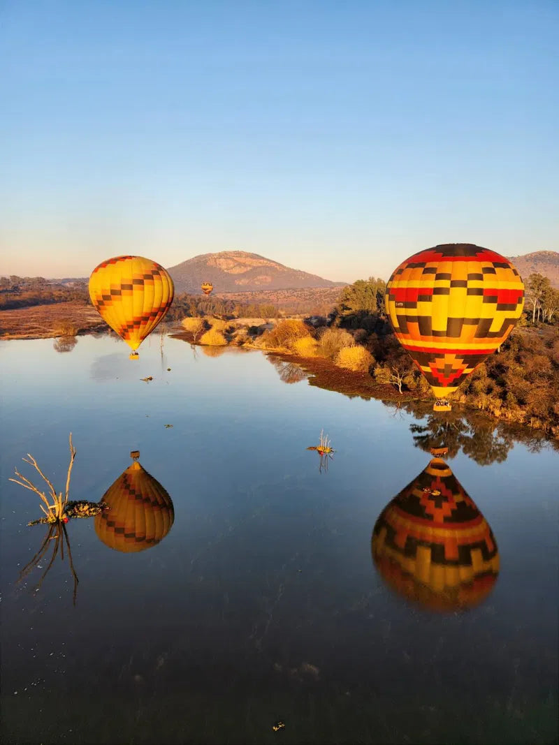 🦁 Safari Hot Air Balloon Flight – Cradle of Humankind at Airventures