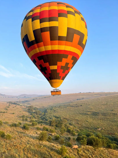 🦁 Safari Hot Air Balloon Flight – Cradle of Humankind at Airventures