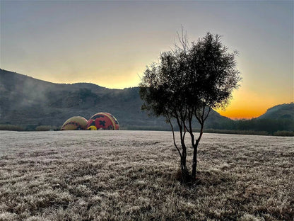 Classic Hot Air Balloon Flight – Cradle of Humankind at Airventures