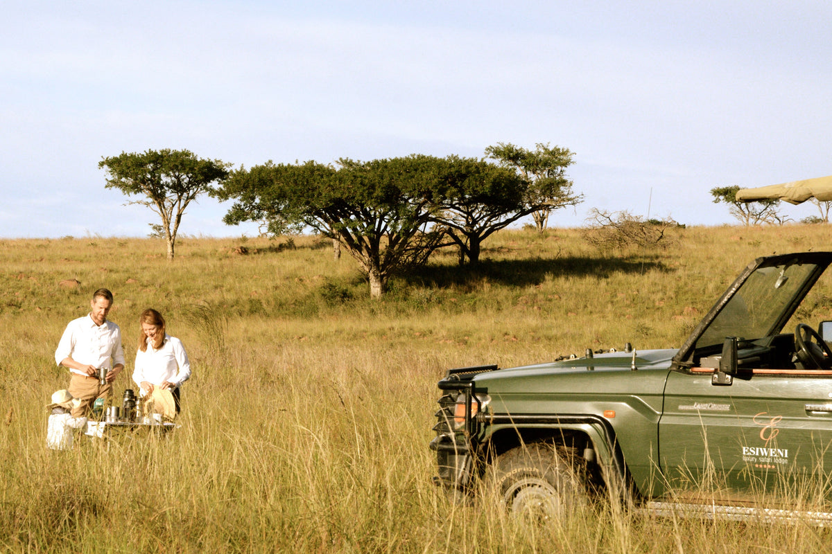 🦁 Esiweni Safari Lodge | Luxury Safari Lodge, Nambiti Private Game Reserve, KwaZulu-Natal