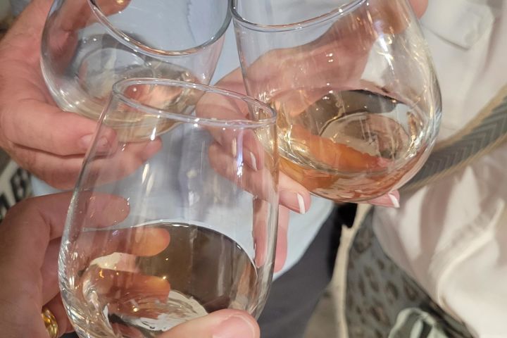 🍷 Paarl, Franschhoek & Stellenbosch Three Region Xplorer Wine Tour | Cape Town
