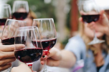 🍷 Paarl, Franschhoek & Stellenbosch Three Region Xplorer Wine Tour | Cape Town