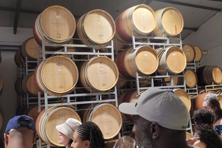 🍷 Paarl, Franschhoek & Stellenbosch Three Region Xplorer Wine Tour | Cape Town